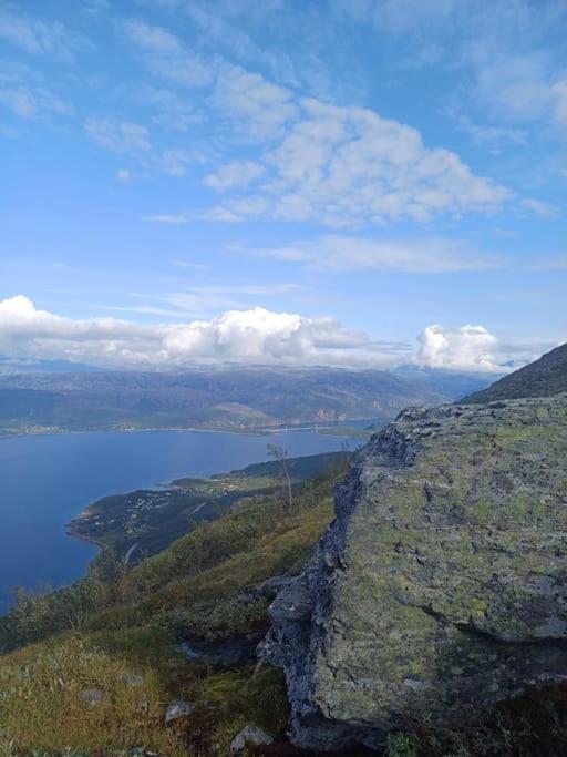 Koselig Og Moderne Leilighet, Meget Sentralt I Med Gratis Parkering! * Narvik