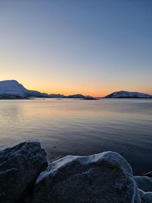 Koselig Og Moderne Leilighet, Meget Sentralt I Med Gratis Parkering! Leilighet Narvik