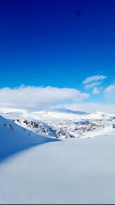 Leilighet Koselig Og Moderne Leilighet, Meget Sentralt I Med Gratis Parkering! Narvik